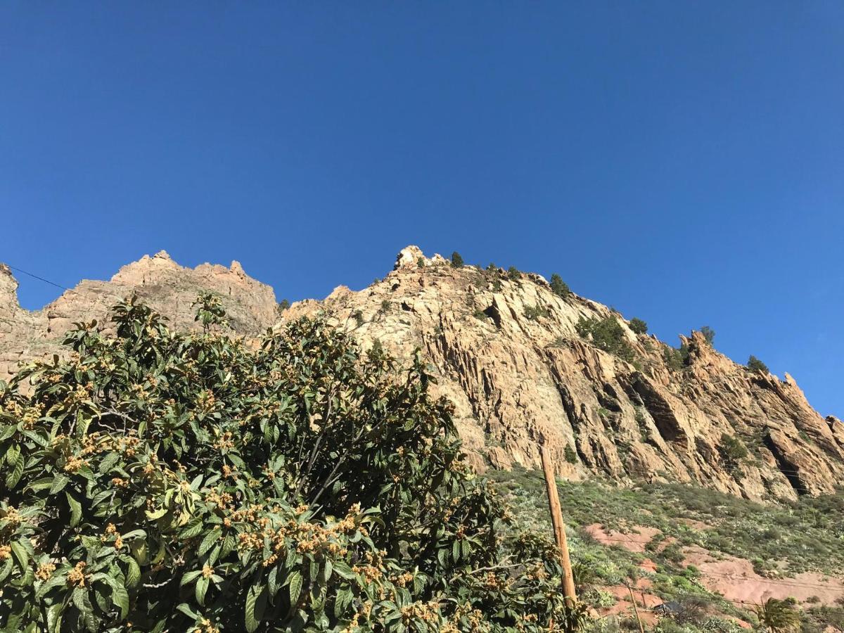 Finca La Sabina Risco Blanco Kültér fotó